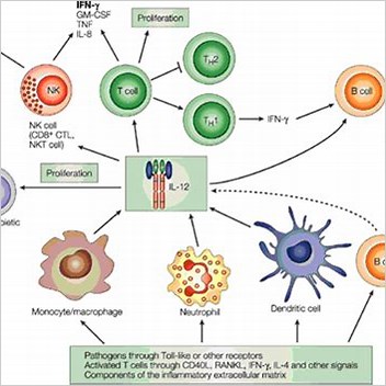 Granulocytemacrophage Colonystimulating Factor Drugs Acting On The Blood And Blood Forming