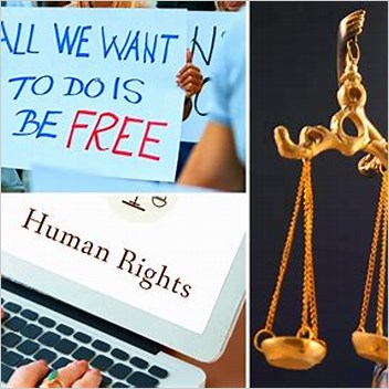 Law Of Taiwan Some Basic Rights Guaranteed By The Constitution