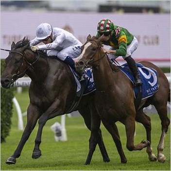 Kindergarten Stakes Horse Races In Australia