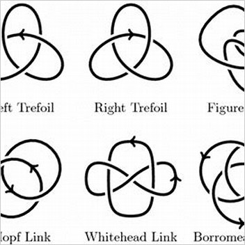 Knot Theory Link Diagram